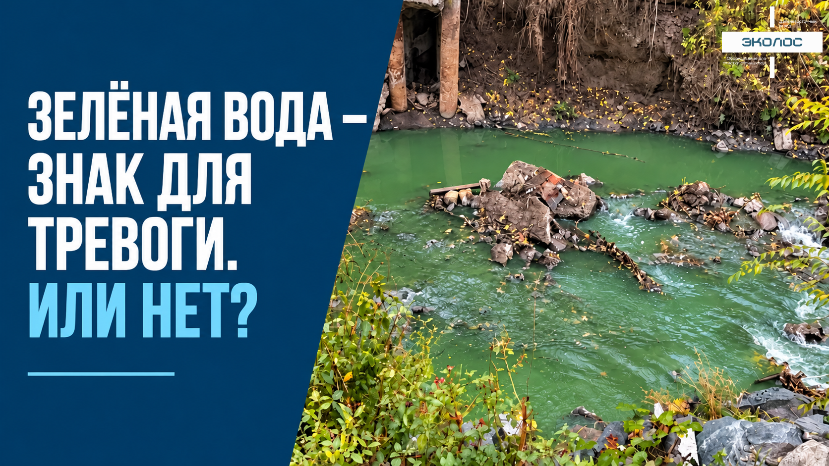 Зелёная вода – знак для тревоги. Или нет?